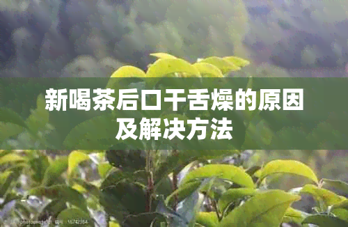 新喝茶后口干舌燥的原因及解决方法