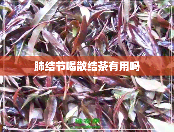 肺结节喝散结茶有用吗