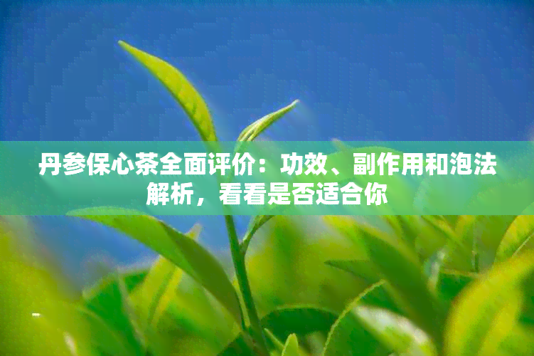 丹参保心茶全面评价：功效、副作用和泡法解析，看看是否适合你