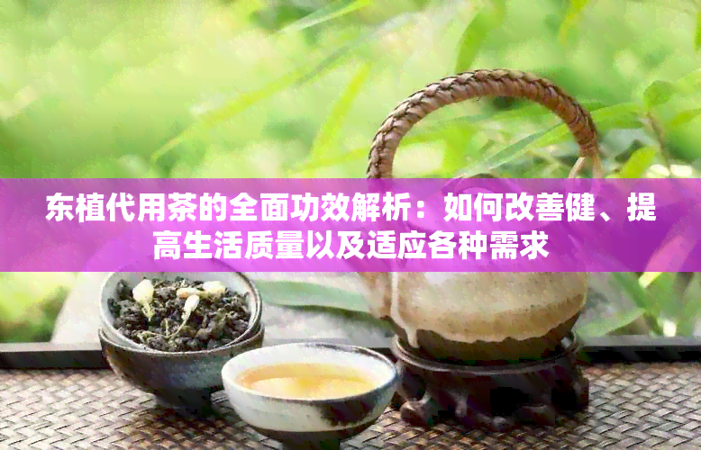 东植代用茶的全面功效解析：如何改善健、提高生活质量以及适应各种需求