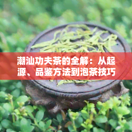 潮汕功夫茶的全解：从起源、品鉴方法到泡茶技巧，让你彻底了解这一独特茶艺