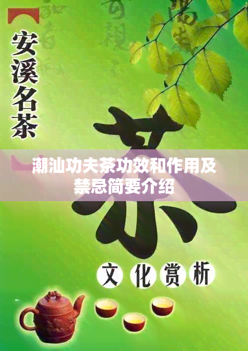 潮汕功夫茶功效和作用及禁忌简要介绍