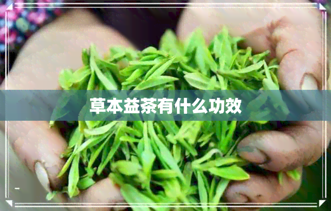 草本益茶有什么功效