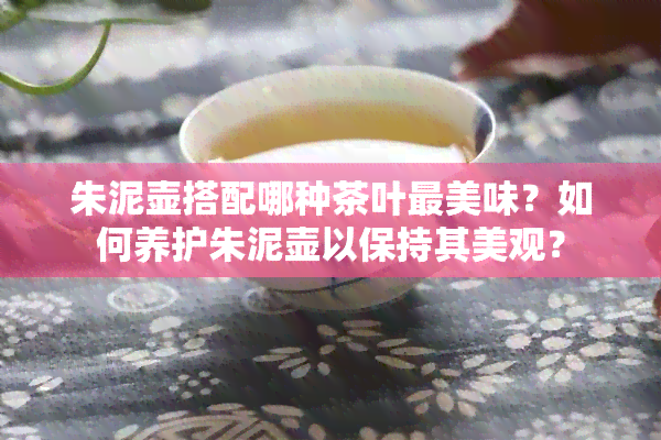 朱泥壶搭配哪种茶叶最美味？如何养护朱泥壶以保持其美观？