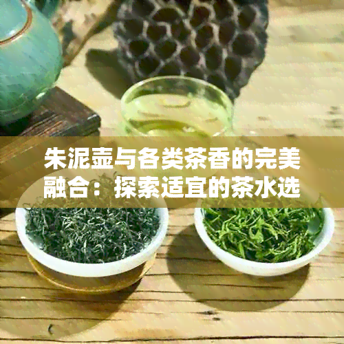 朱泥壶与各类茶香的完美融合：探索适宜的茶水选择