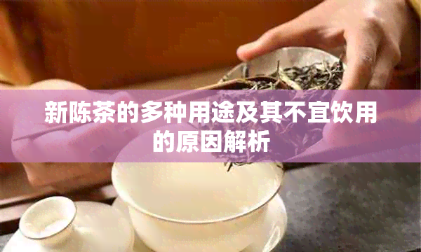 新陈茶的多种用途及其不宜饮用的原因解析