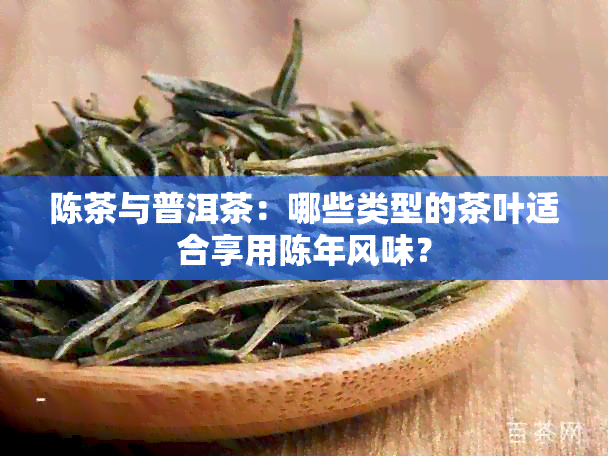 陈茶与普洱茶：哪些类型的茶叶适合享用陈年风味？