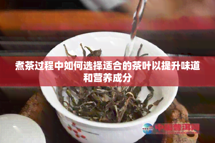 煮茶过程中如何选择适合的茶叶以提升味道和营养成分