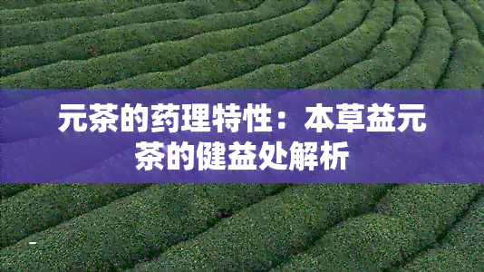 元茶的理特性：本草益元茶的健益处解析