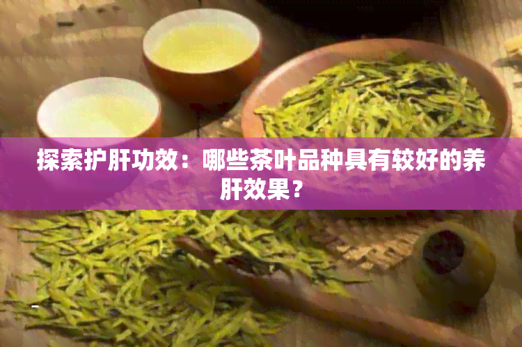 探索护肝功效：哪些茶叶品种具有较好的养肝效果？