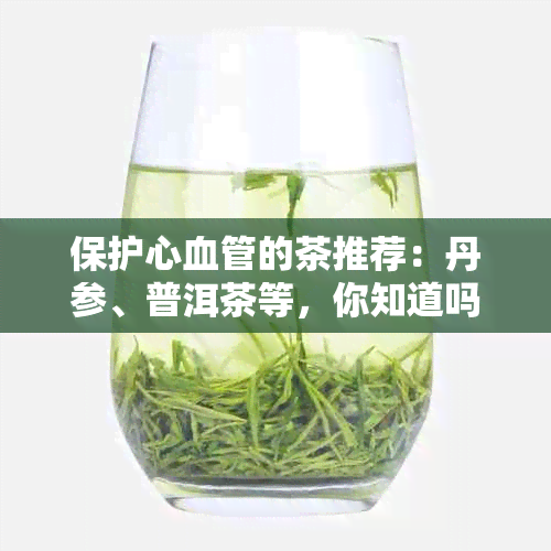 保护心血管的茶推荐：丹参、普洱茶等，你知道吗？