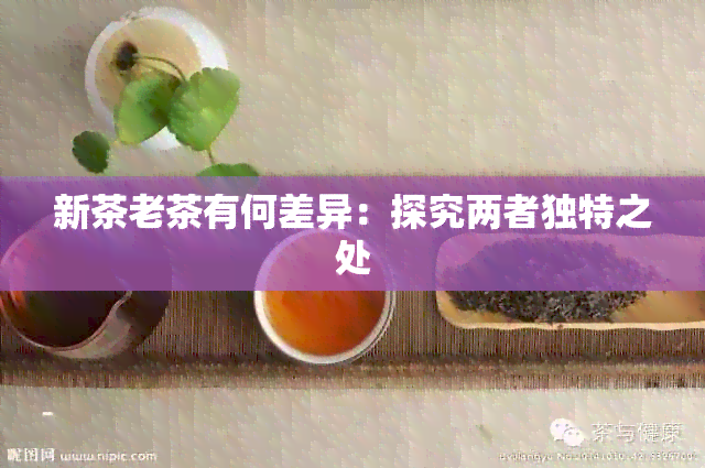 新茶老茶有何差异：探究两者独特之处