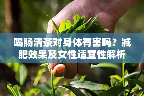 喝肠清茶对身体有害吗？减肥效果及女性适宜性解析