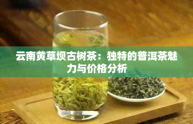 云南黄草坝古树茶：独特的普洱茶魅力与价格分析