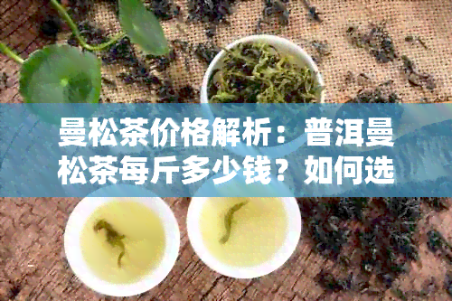 曼松茶价格解析：普洱曼松茶每斤多少钱？如何选购和判断好坏？