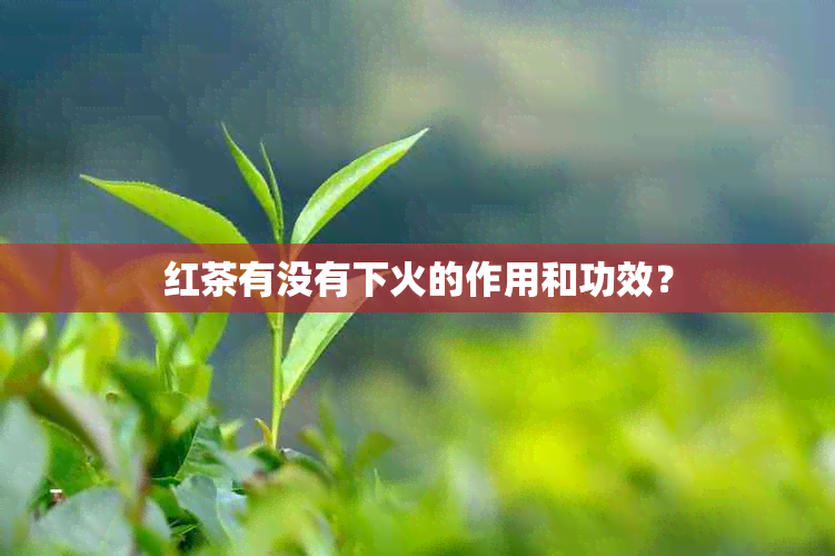 红茶有没有下火的作用和功效？