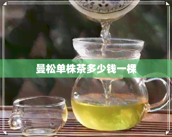 曼松单株茶多少钱一棵