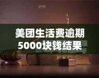 美团生活费逾期5000块钱结果处理方式全解析