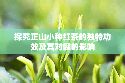 探究正山小种红茶的独特功效及其对健的影响