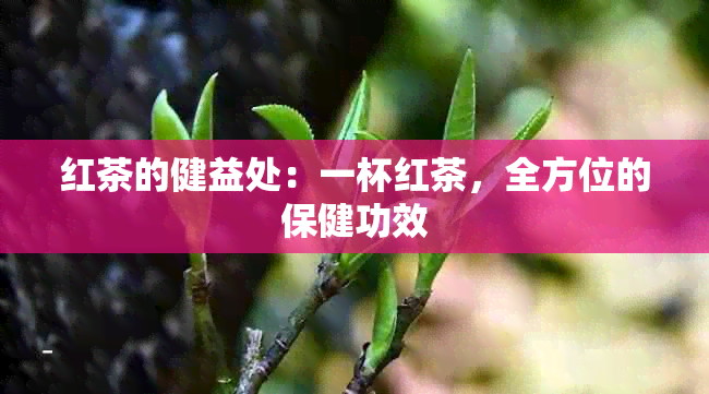 红茶的健益处：一杯红茶，全方位的保健功效