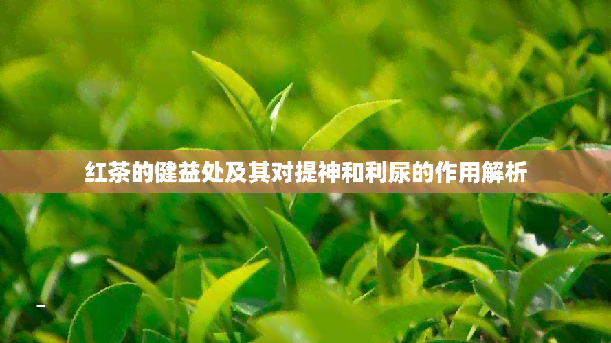 红茶的健益处及其对提神和利尿的作用解析