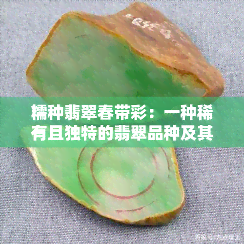 糯种翡翠春带彩：一种稀有且独特的翡翠品种及其制作工艺与保养方法