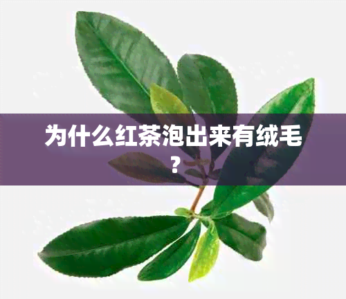 为什么红茶泡出来有绒毛？