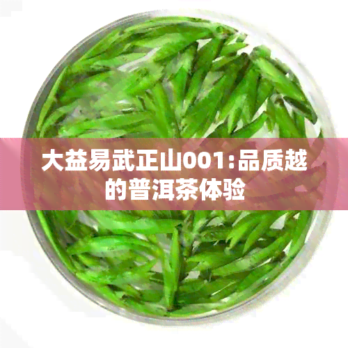 大益易武正山001:品质越的普洱茶体验