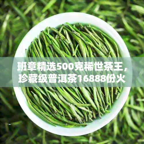 班章精选500克稀世茶王，珍藏级普洱茶16888份火热抢购中