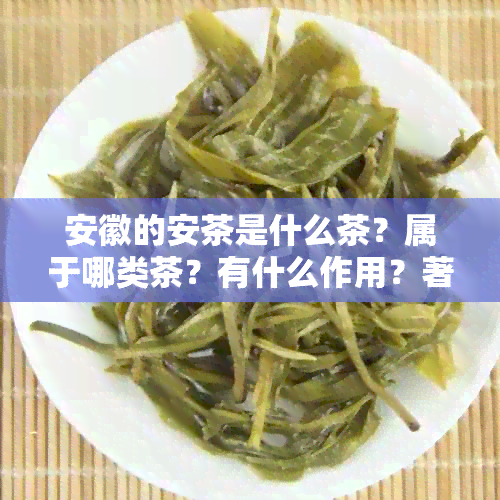 安徽的安茶是什么茶？属于哪类茶？有什么作用？著名有哪些？