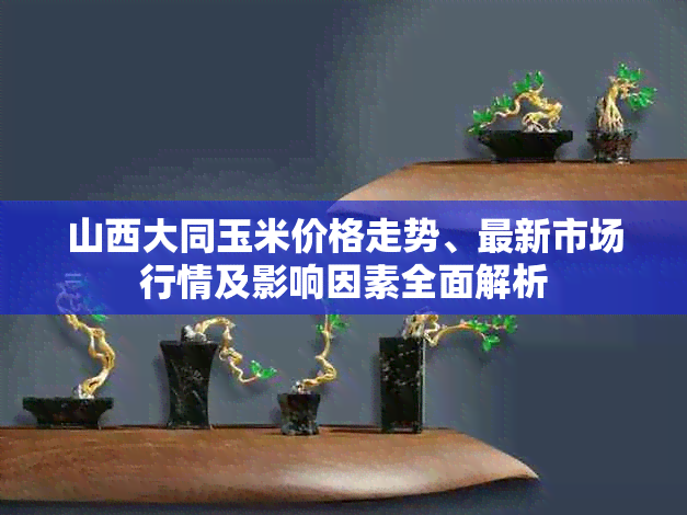 山西大同玉米价格走势、最新市场行情及影响因素全面解析