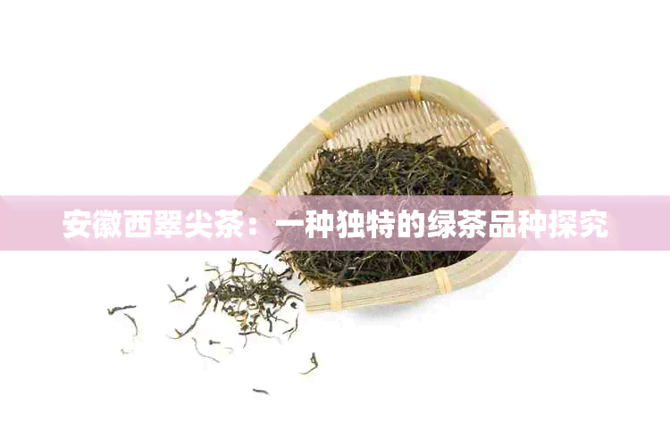 安徽西翠尖茶：一种独特的绿茶品种探究