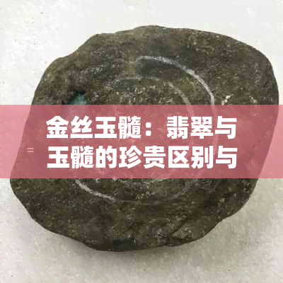 金丝玉髓：翡翠与玉髓的珍贵区别与价值分析