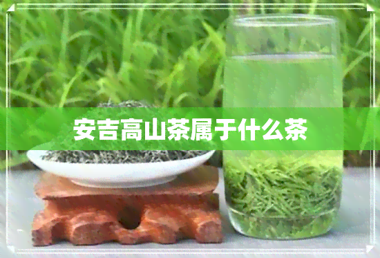 安吉高山茶属于什么茶