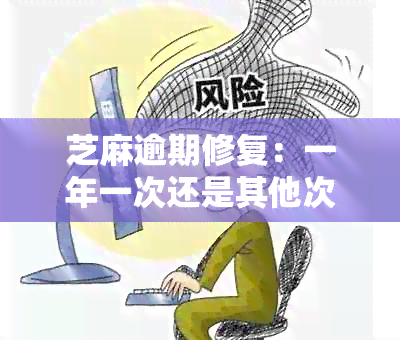 芝麻逾期修复：一年一次还是其他次数？了解详细修复周期及相关规定