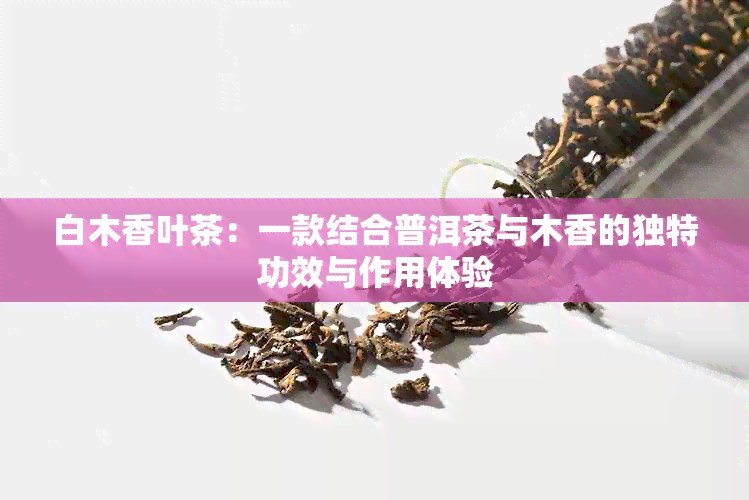 白木香叶茶：一款结合普洱茶与木香的独特功效与作用体验