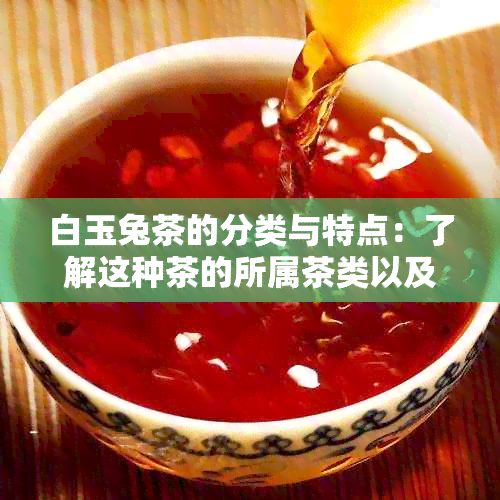 白玉兔茶的分类与特点：了解这种茶的所属茶类以及其独特的口感和功效