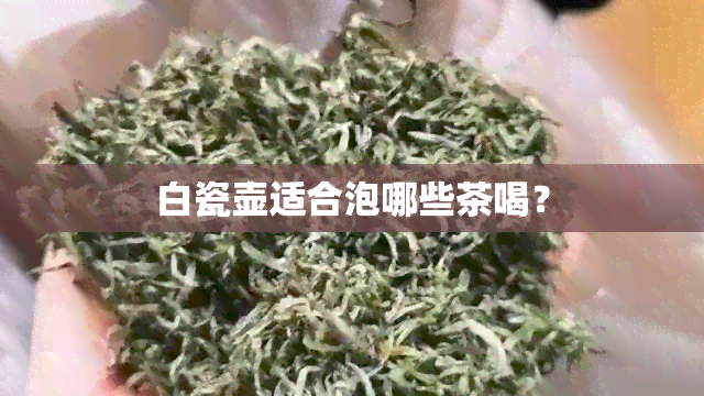 白瓷壶适合泡哪些茶喝？