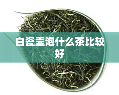 白瓷壶泡什么茶比较好