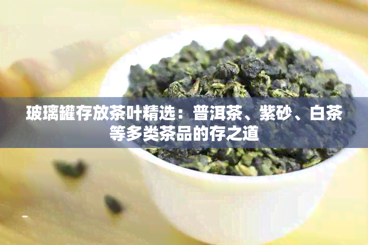 玻璃罐存放茶叶精选：普洱茶、紫砂、白茶等多类茶品的存之道