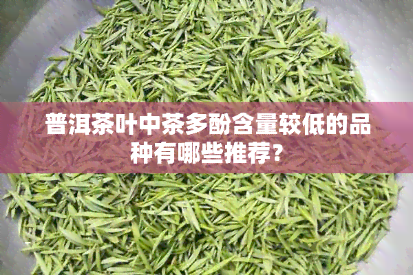 普洱茶叶中茶多酚含量较低的品种有哪些推荐？