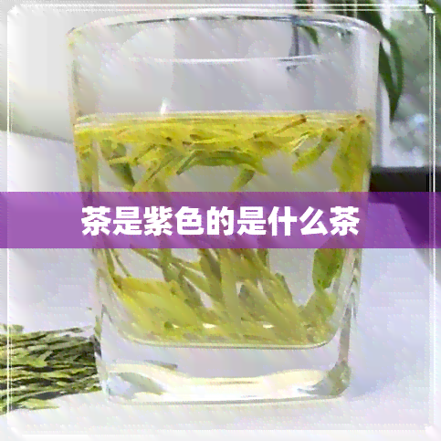 茶是紫色的是什么茶