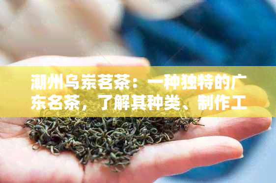 潮州乌岽茗茶：一种独特的广东名茶，了解其种类、制作工艺及品鉴方法