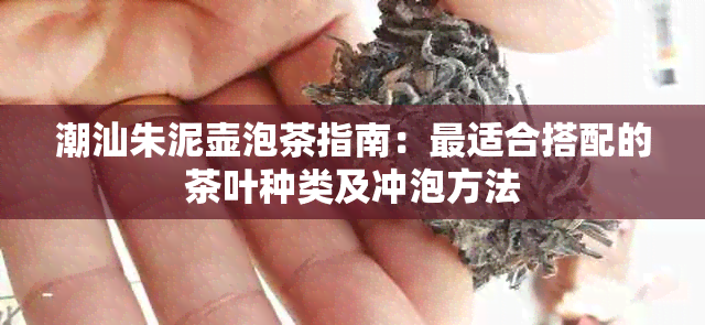 潮汕朱泥壶泡茶指南：最适合搭配的茶叶种类及冲泡方法