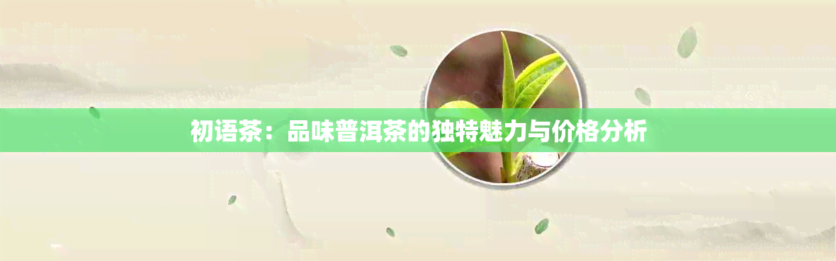 初语茶：品味普洱茶的独特魅力与价格分析