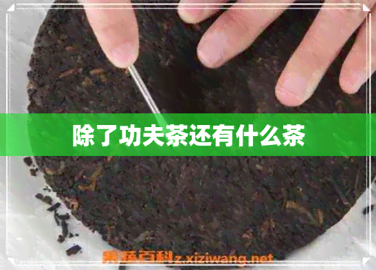 除了功夫茶还有什么茶