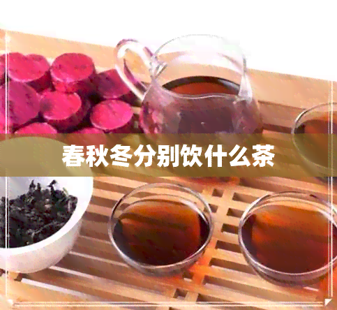 春秋冬分别饮什么茶