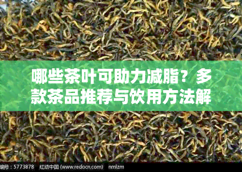 哪些茶叶可助力减脂？多款茶品推荐与饮用方法解析