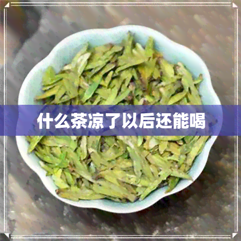 什么茶凉了以后还能喝