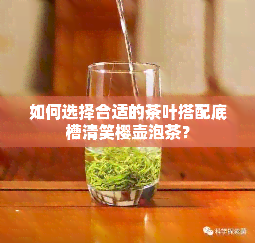 如何选择合适的茶叶搭配底槽清笑樱壶泡茶？